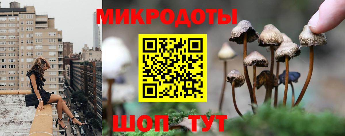 Лесосибирск  Галлюциногенные грибы Cubensis  Вход с VPN  Галлюциногенные грибы Cubensis 